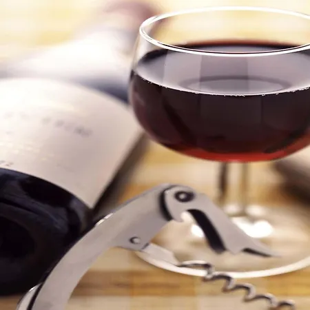 Hotel Ibis Airport Messe Friedrichshafen