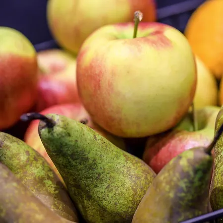 Hotel Ibis Airport Messe 3*