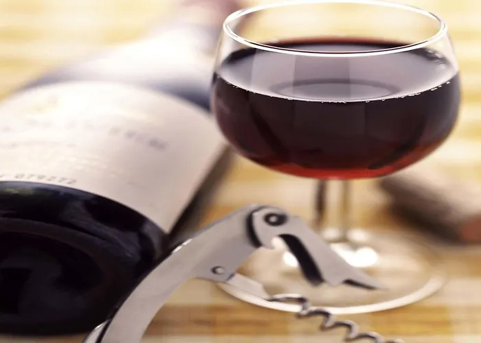 Ξενοδοχείο Ibis Airport Messe Φριντρισχάφεν