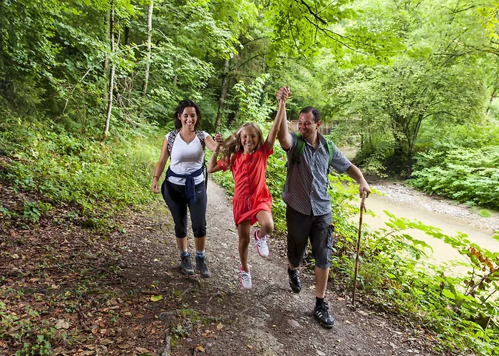 Ibis Airport Messe 3*